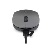 Produktbild för Lenovo Go Multi-device - mus - 2.4 GHz, Bluetooth 5.0 - åskmolnsgrå