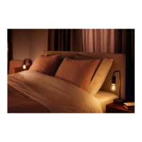 Produktbild för Philips Hue White ambiance - LED-glödlampa med filament - form: A60 - klar finish - E27 - 7 W - varmt till kallt vitt ljus - 2200-4500 K