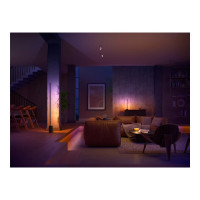 Produktbild för Philips Hue White and Colour Ambiance Gradient - ljusslinga - LED - 20 W - 2200-6500 K - vit
