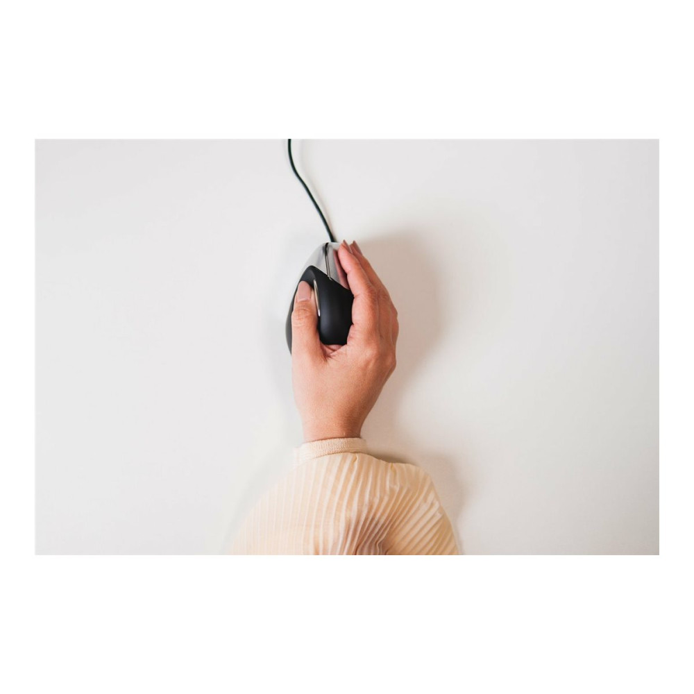 Produktbild för Bakker Elkhuizen Evoluent Vertical Mouse - vertikal mus - PS/2, USB