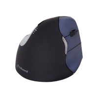 Produktbild för BakkerElkhuizen Evoluent4 Wireless - mus