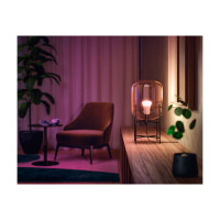 Produktbild för Philips Hue - LED-glödlampa - form: A60 - E27 - 6.5 W - 16 miljoner färger - 2000-6500 K - vit (paket om 2)