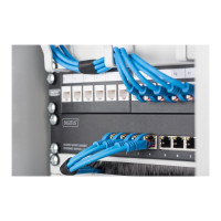 Produktbild för DIGITUS DN-80117 - switch - 8 portar - Administrerad - rackmonterbar