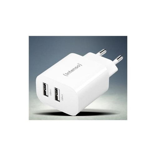 Intenso Intenso W24AA strömadapter - USB - 24 Watt
