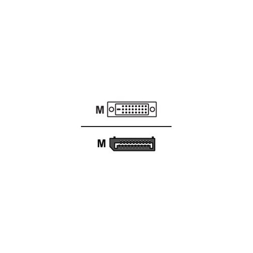 Prokord Prokord - videoadapterkabel - DisplayPort till DVI-I - 2 m