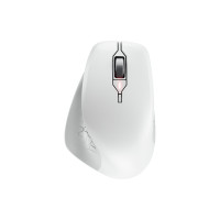 Produktbild för CHERRY STREAM MOUSE COMFORT - mus - 2.4 GHz - vit/grå