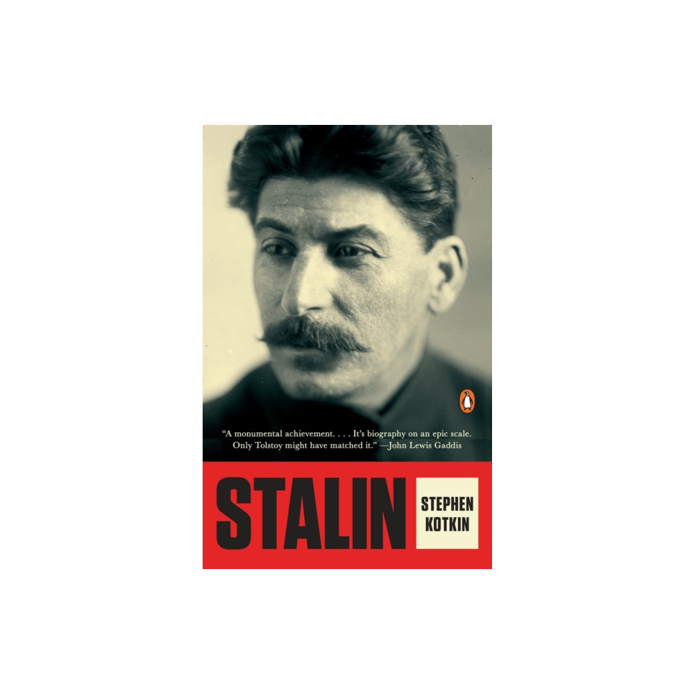 Produktbild för Stalin (häftad, eng)