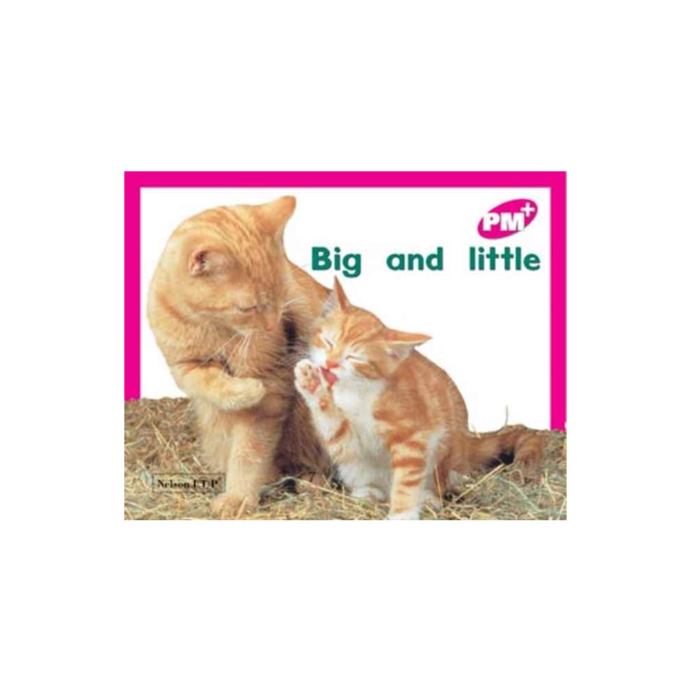 Produktbild för Big and little (häftad, eng)