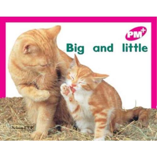 Cengage Learning Australia Big and little (häftad, eng)