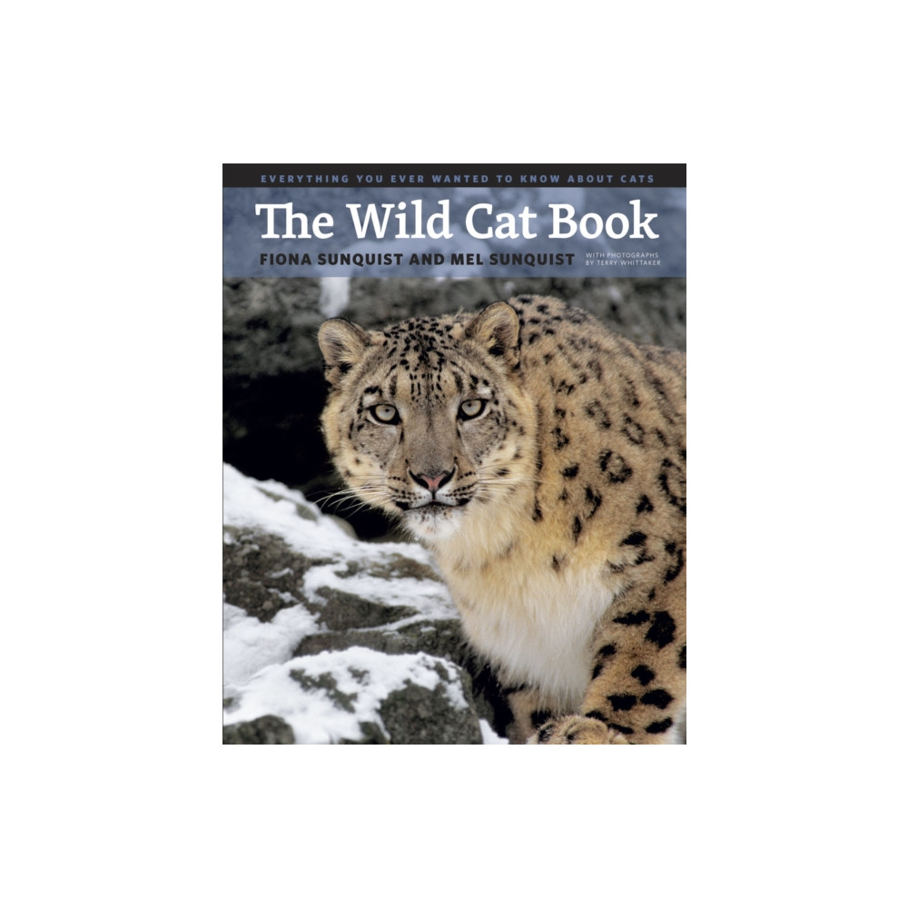 Produktbild för The Wild Cat Book (inbunden, eng)