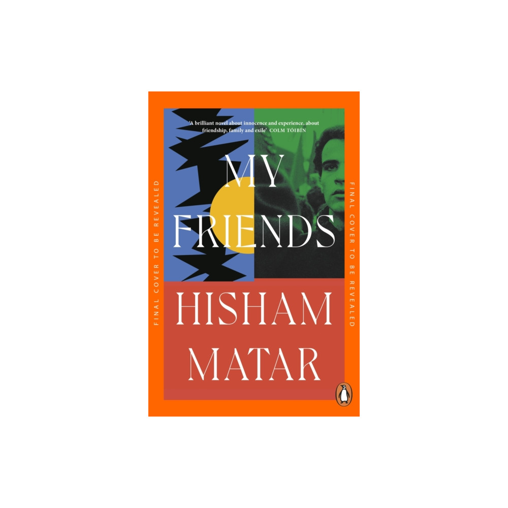 Produktbild för My Friends (häftad, eng)