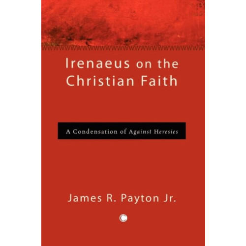 James Clarke & Co Ltd Irenaeus on the Christian Faith (häftad, eng)