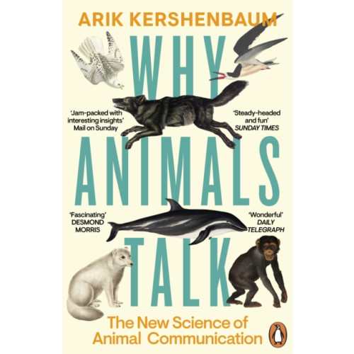 Penguin books ltd Why Animals Talk (häftad, eng)