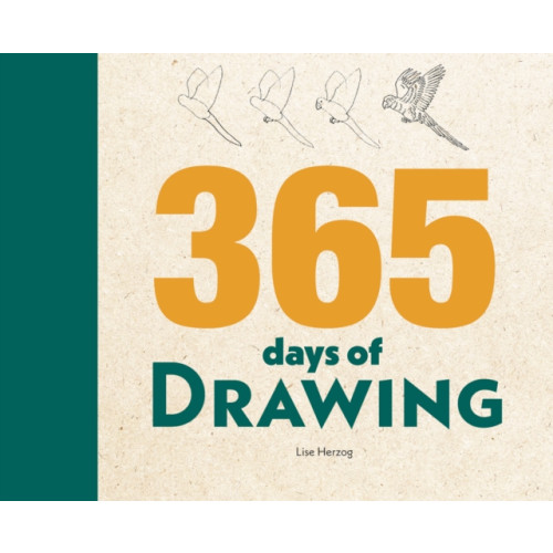 Firefly Books Ltd 365 Days of Drawing (inbunden, eng)