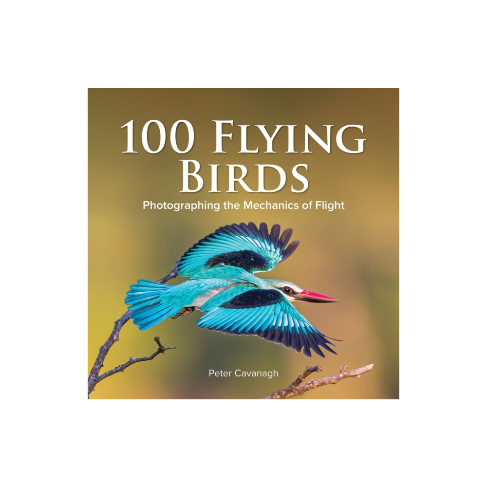 Produktbild för 100 Flying Birds (inbunden, eng)