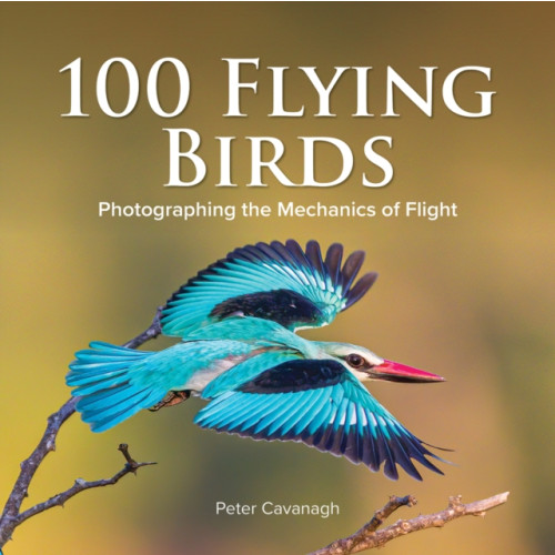 Firefly Books Ltd 100 Flying Birds (inbunden, eng)