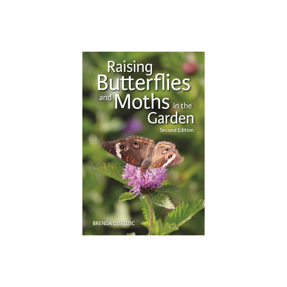 Produktbild för Raising Butterflies and Moths in the Garden (häftad, eng)