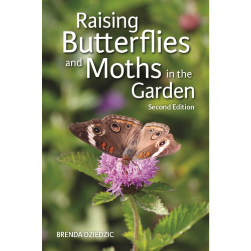 Firefly Books Ltd Raising Butterflies and Moths in the Garden (häftad, eng)