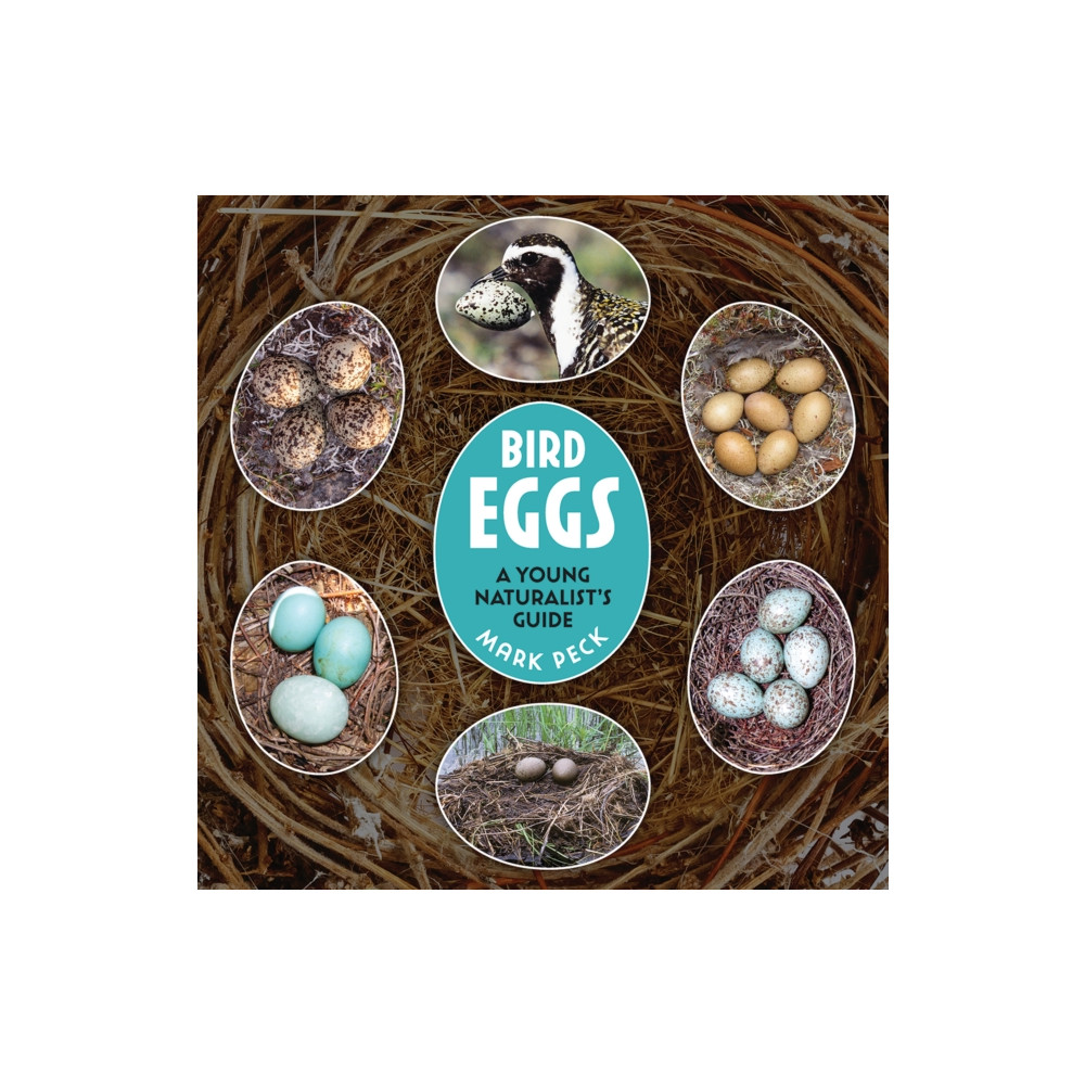 Produktbild för Bird Eggs (häftad, eng)