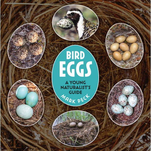 Firefly Books Ltd Bird Eggs (häftad, eng)