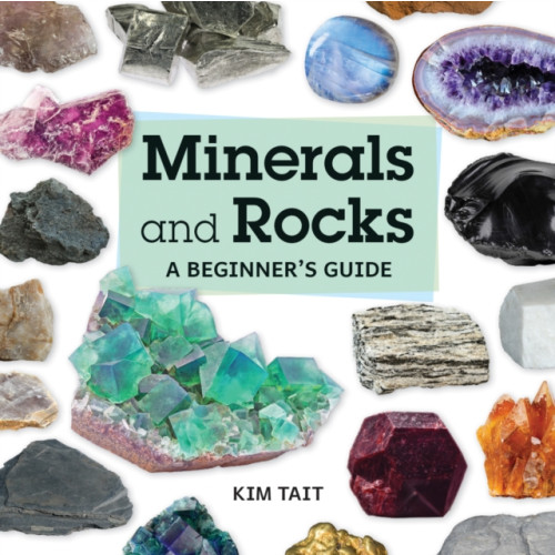 Firefly Books Ltd Minerals and Rocks (häftad, eng)