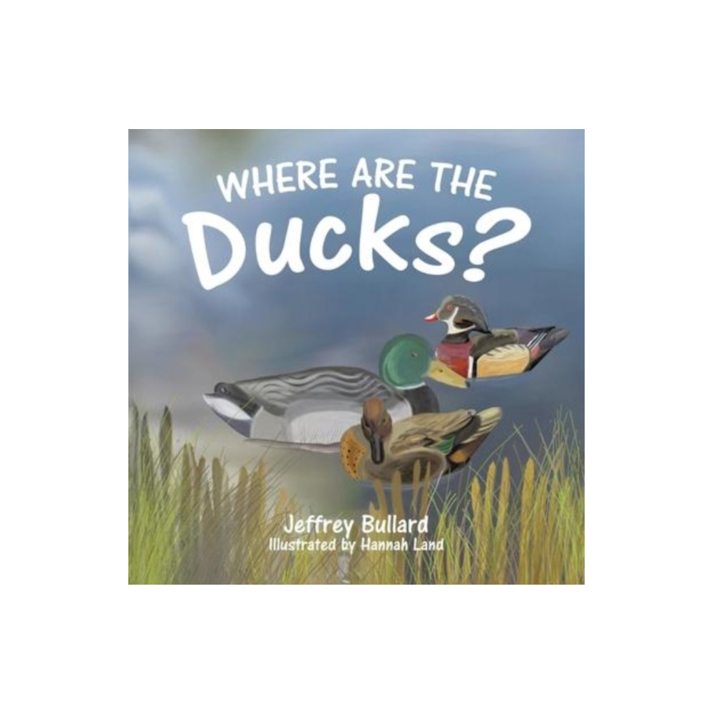 Produktbild för Where Are the Ducks? (häftad, eng)