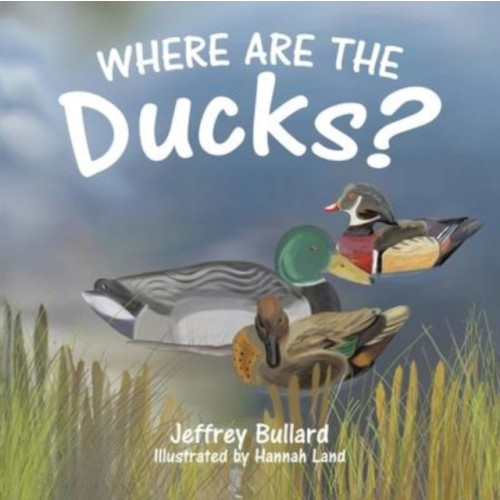 TellWell Press Where Are the Ducks? (häftad, eng)
