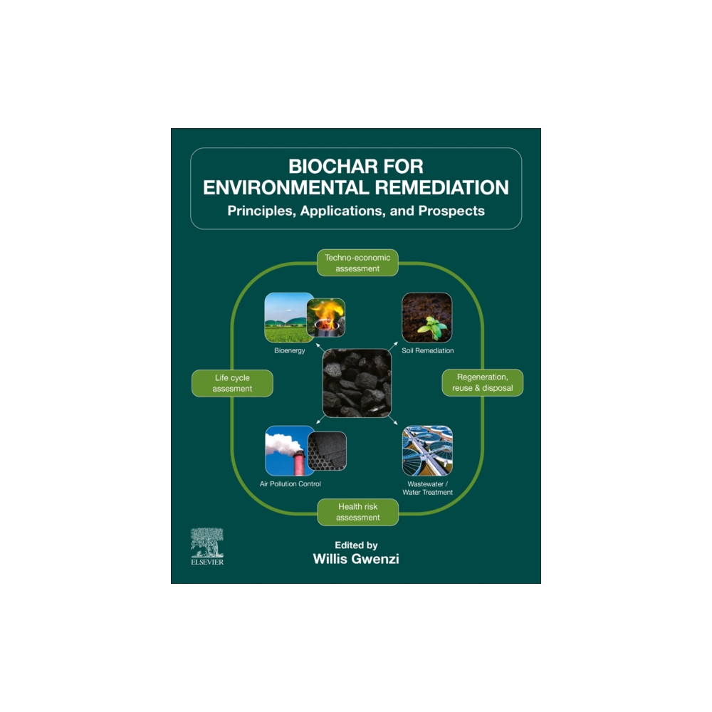 Produktbild för Biochar for Environmental Remediation (häftad, eng)