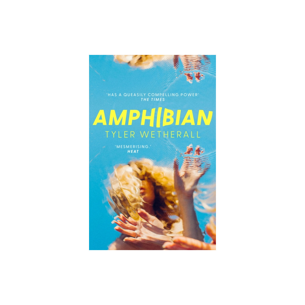 Produktbild för Amphibian (häftad, eng)