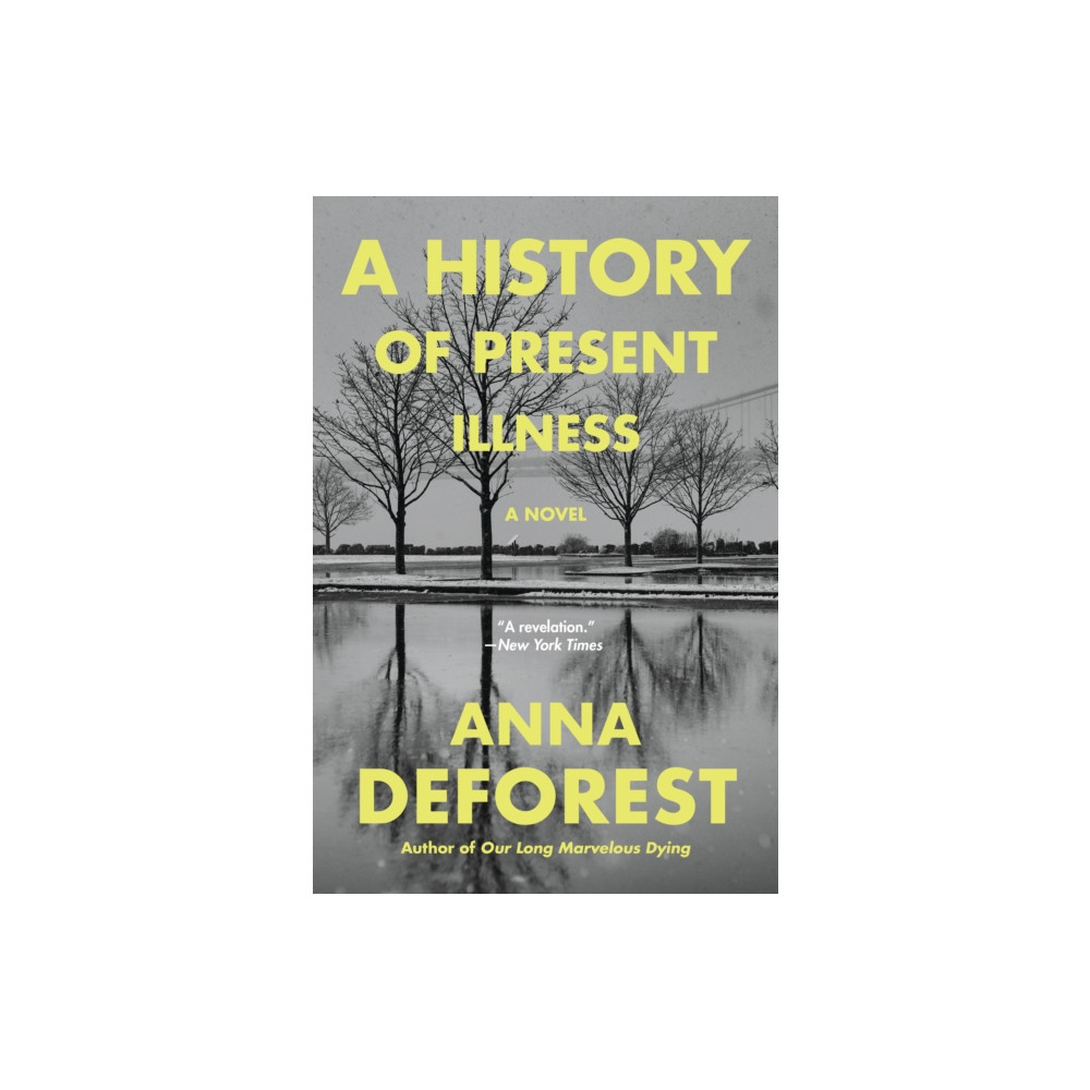 Produktbild för A History of Present Illness (häftad, eng)