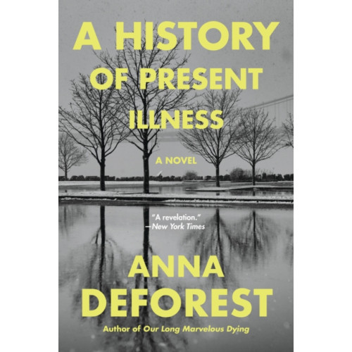 Not Stated A History of Present Illness (häftad, eng)