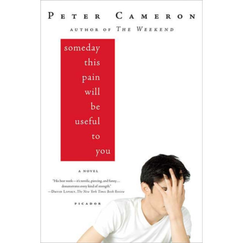 PICADOR Someday This Pain Will Be Useful to You (häftad, eng)