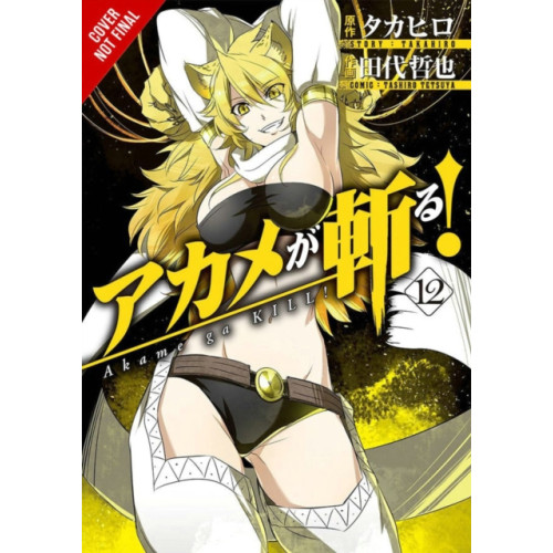 Little, Brown & Company Akame ga KILL!, Vol. 12 (häftad, eng)