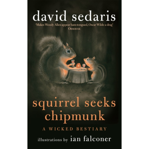 Little, Brown Book Group Squirrel Seeks Chipmunk (häftad, eng)