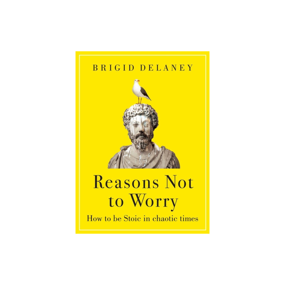 Produktbild för Reasons Not to Worry (häftad, eng)