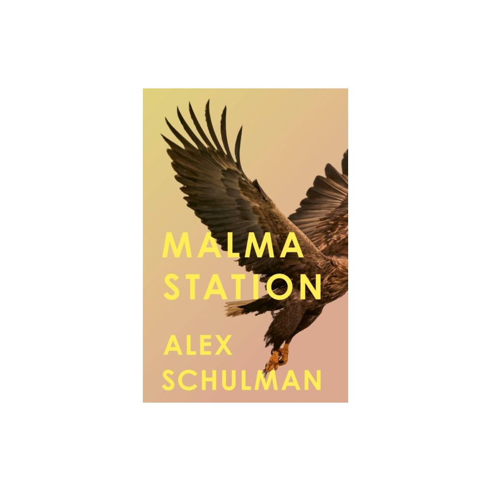 Produktbild för Malma Station (häftad, eng)