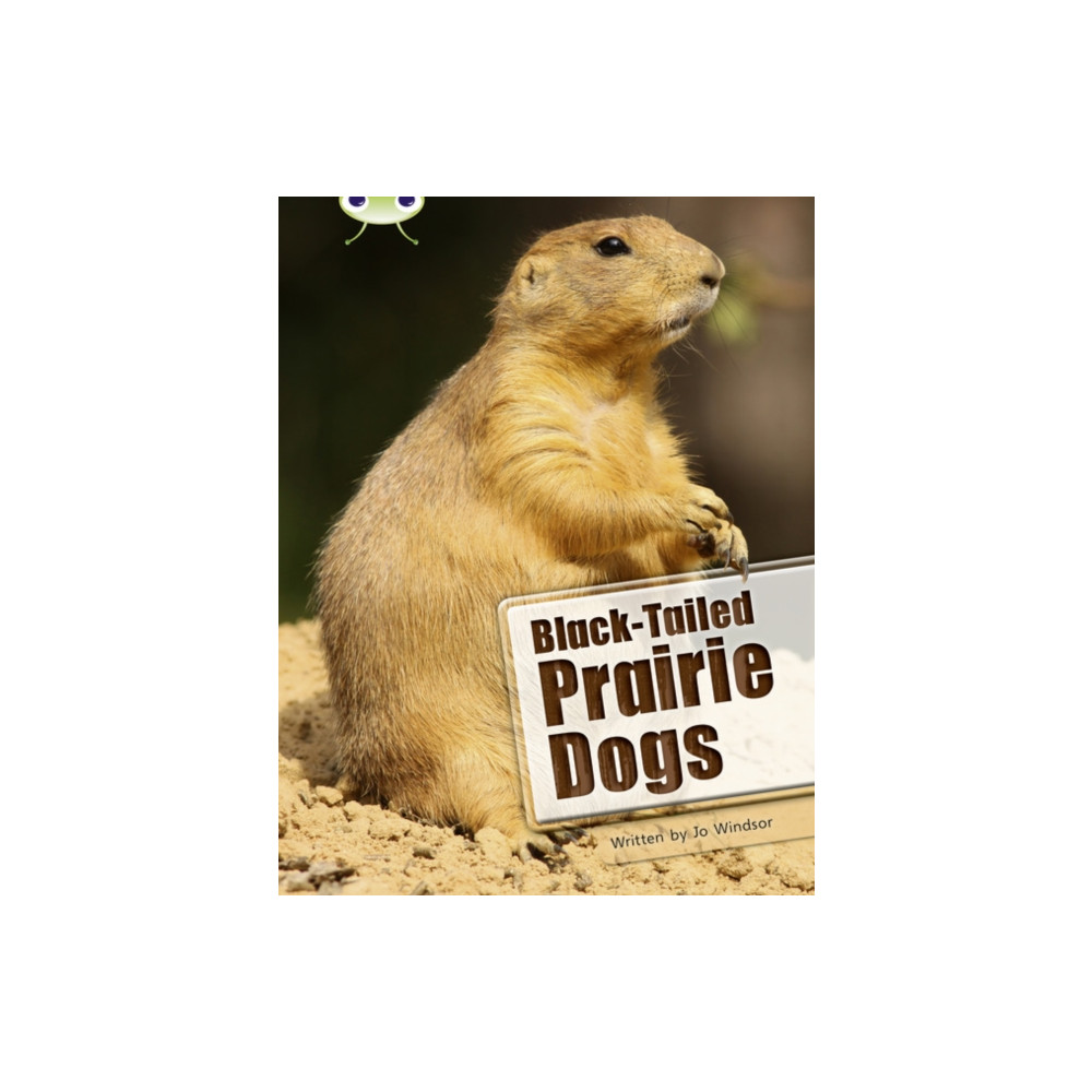 Produktbild för Bug Club Independent Non Fiction Year Two White B Black-tailed Prairie Dogs (häftad, eng)