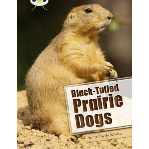 Pearson Education Limited Bug Club Independent Non Fiction Year Two White B Black-tailed Prairie Dogs (häftad, eng)