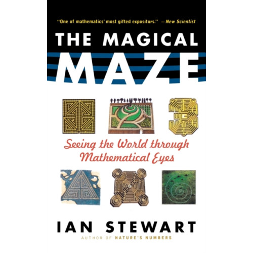 Turner Publishing Company The Magical Maze (inbunden, eng)