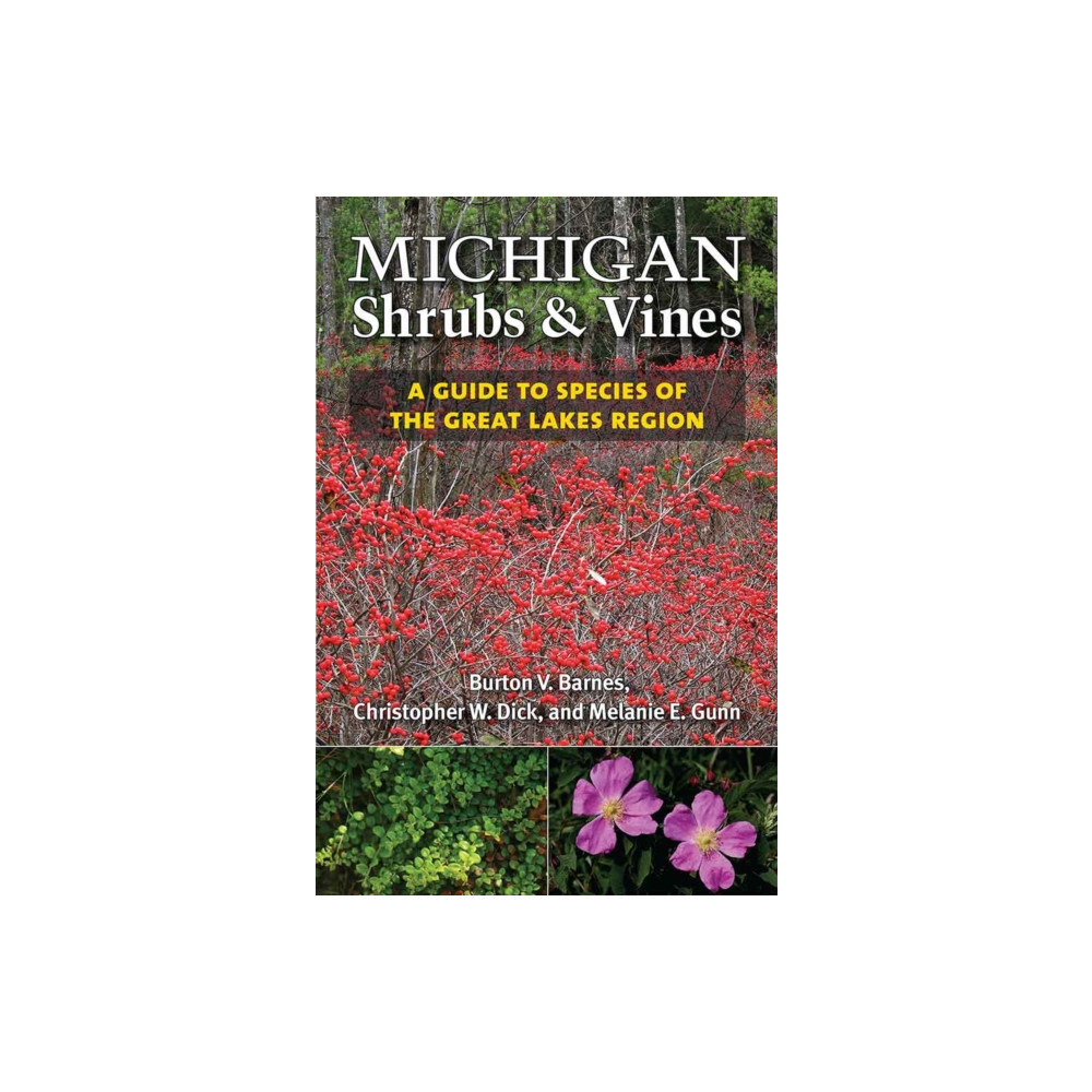 Produktbild för Michigan Shrubs and Vines (häftad, eng)
