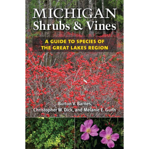 The University of Michigan Press Michigan Shrubs and Vines (häftad, eng)