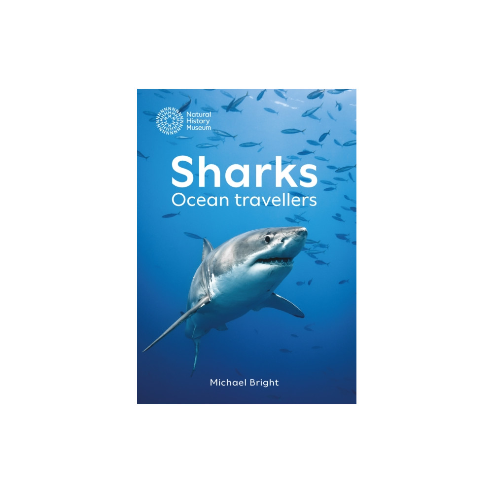 Produktbild för Sharks (inbunden, eng)