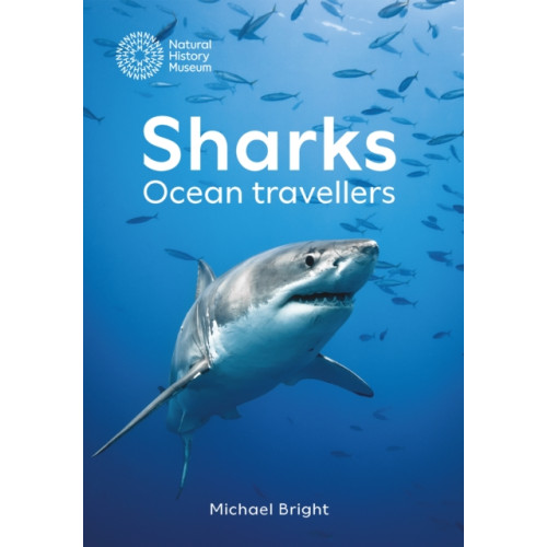 The Natural History Museum Sharks (inbunden, eng)