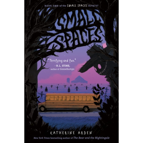 Penguin Putnam Inc Small Spaces (inbunden, eng)