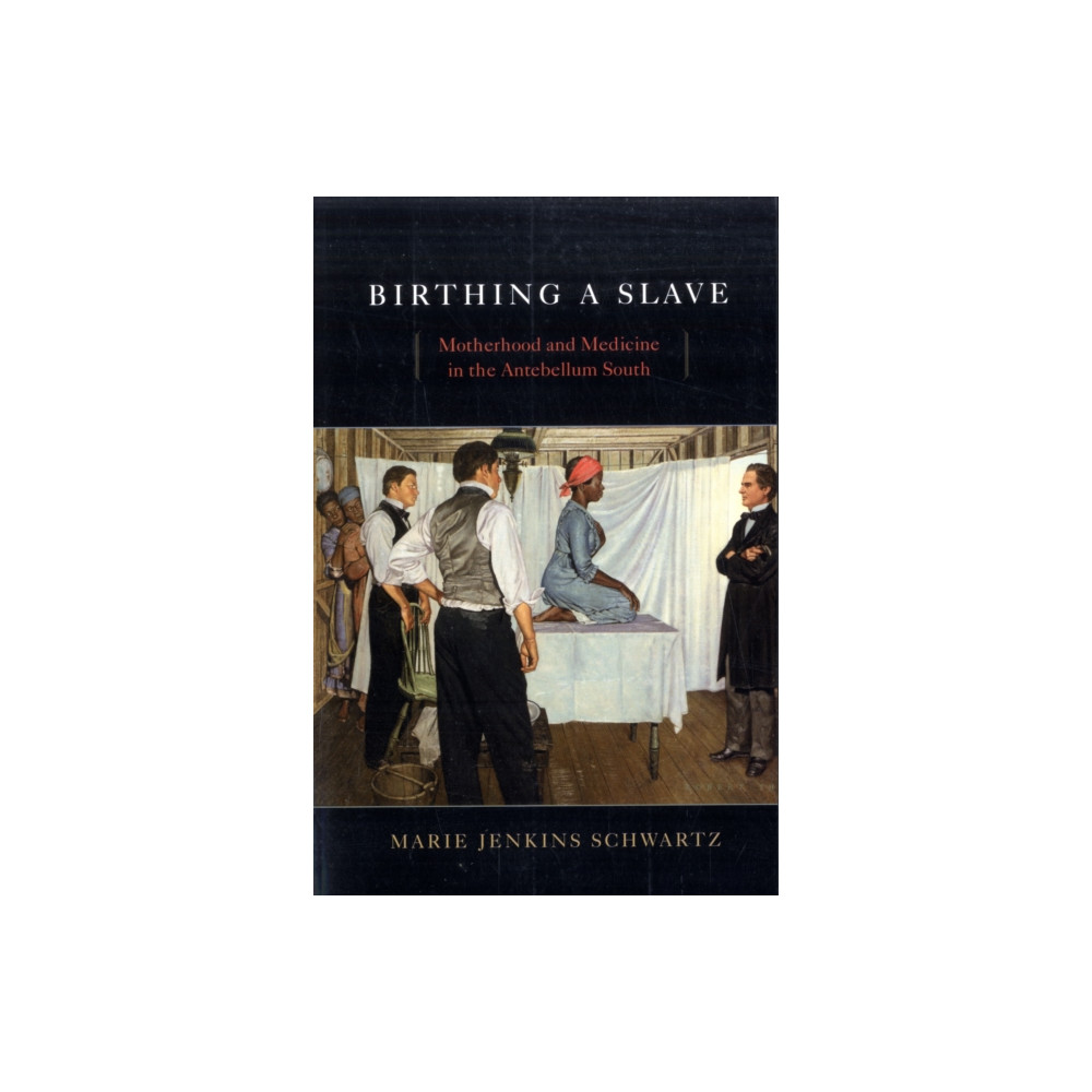 Produktbild för Birthing a Slave (häftad, eng)