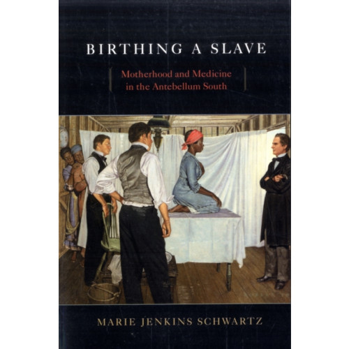 Harvard university press Birthing a Slave (häftad, eng)