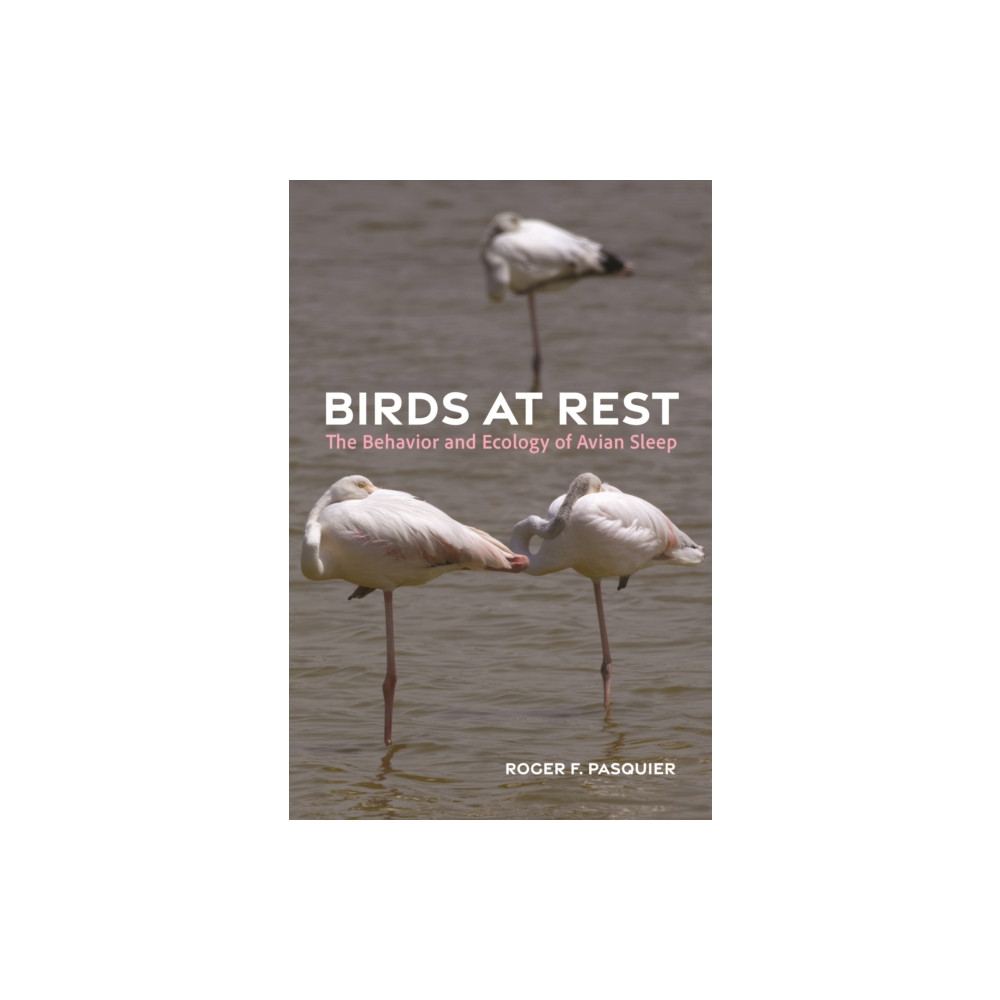 Produktbild för Birds at Rest (inbunden, eng)