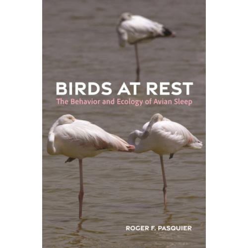 Princeton University Press Birds at Rest (inbunden, eng)