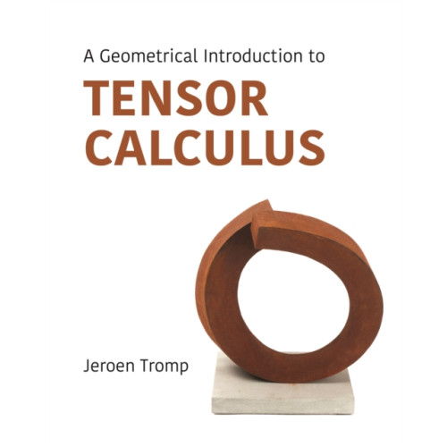 Princeton University Press A Geometrical Introduction to Tensor Calculus (häftad, eng)