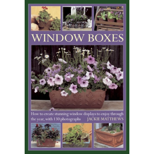 Anness publishing Window Boxes (inbunden, eng)